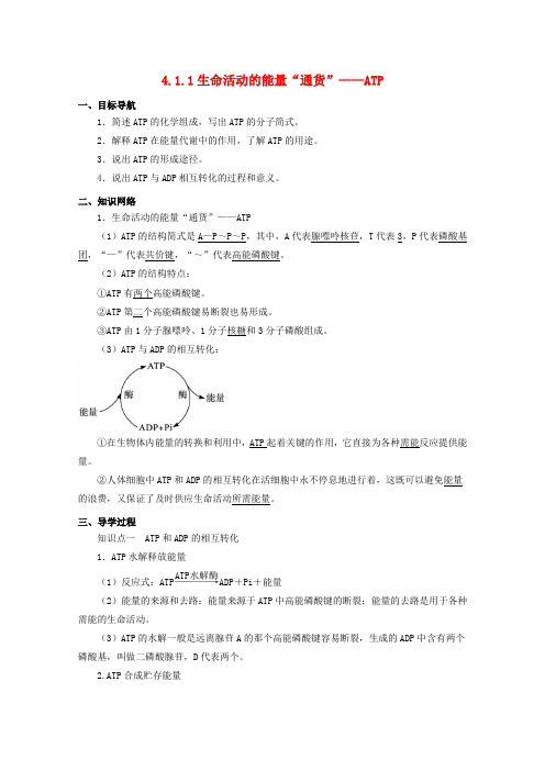 高中生物 4.1.1 生命活动的能量“通货”ATP同步导学案 苏教版必修1