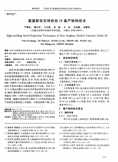 高梁新杂交种赤杂28高产制种技术