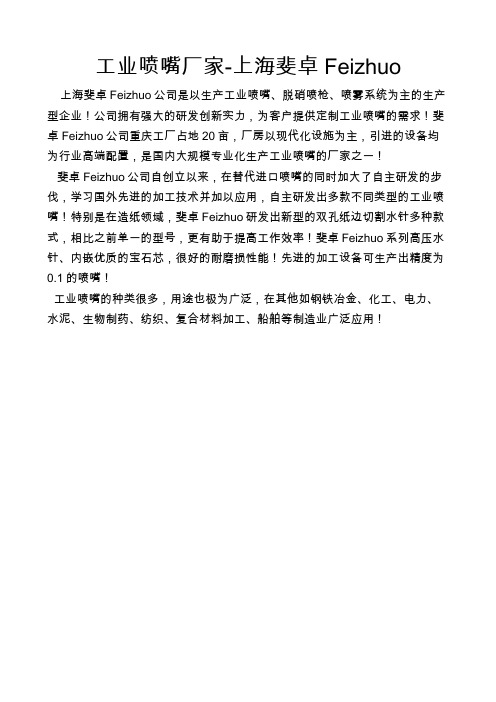 工业喷嘴厂家-上海斐卓Feizhuo