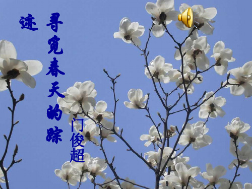 寻觅春天的踪迹语文课件PPT