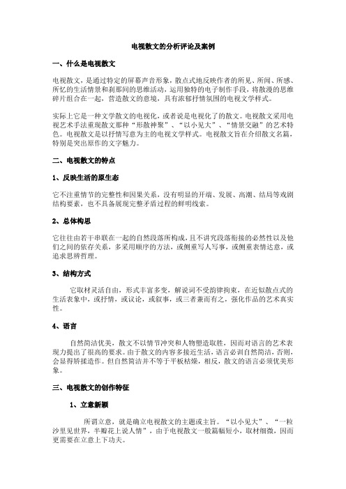 电视散文