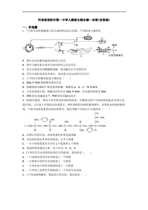 河南省洛阳市第一中学人教版生物必修一试卷(含答案)