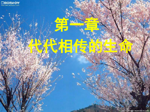代代相传的生命复习ppt课件
