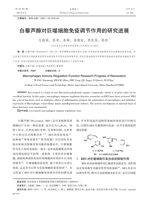 白藜芦醇对巨噬细胞免疫调节作用的研究进展