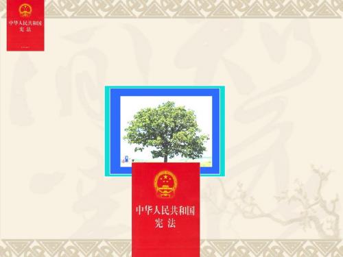 人教版九年级全一册第六课第二框宪法是国家的根本大法(共19张PPT)