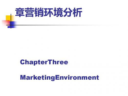 营销环境分析 (PPT 64张)