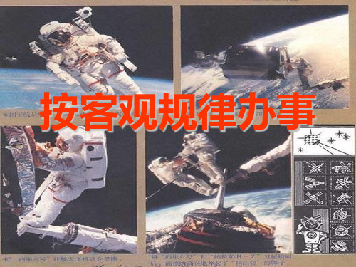 按客观规律办事1