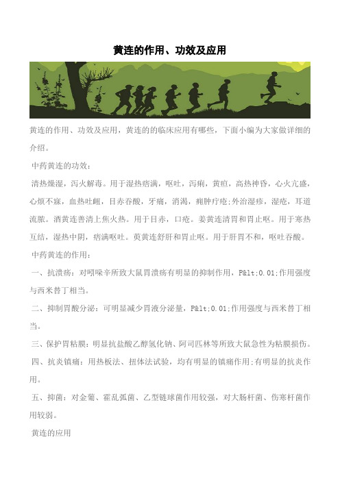 【推荐】黄连的作用、功效及应用