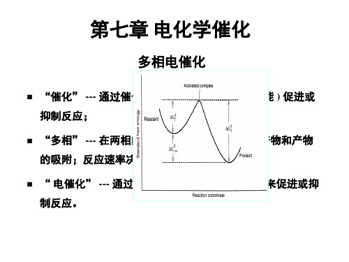 电化学催化