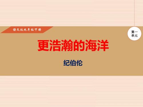 《更浩瀚的海洋》PPT课件 (共17张PPT)