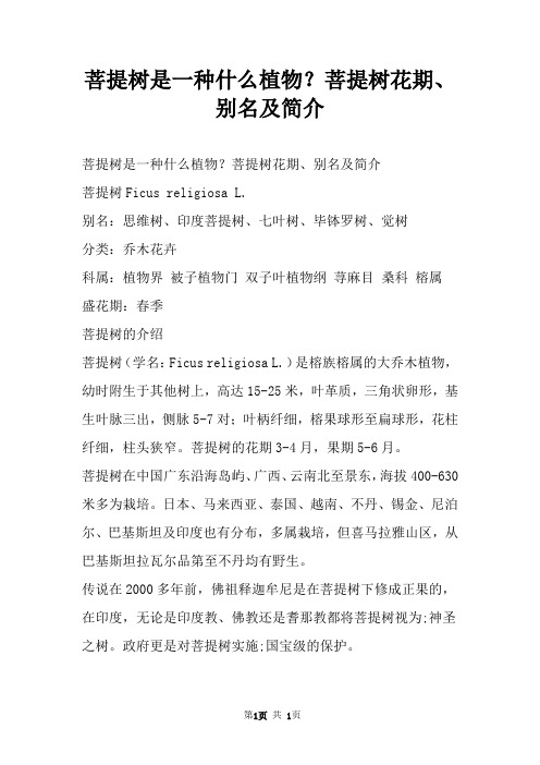 菩提树是一种什么植物？菩提树花期、别名及简介