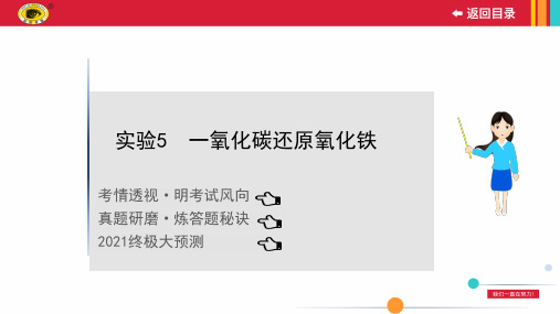 2021年中考化学冲刺复习板块二 实验5一氧化碳还原氧化铁