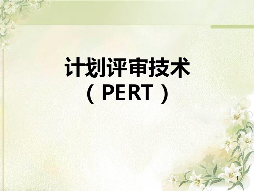 计划评审技术