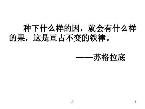 议论文中的因果分析