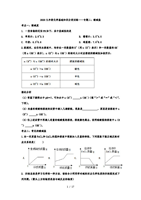 2020年九年级化学基础知识分类训练——专题二：酸碱盐