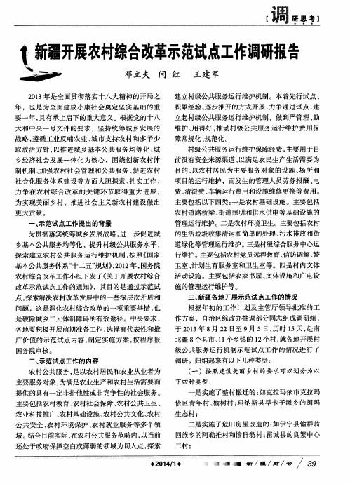 新疆开展农村综合改革示范试点工作调研报告