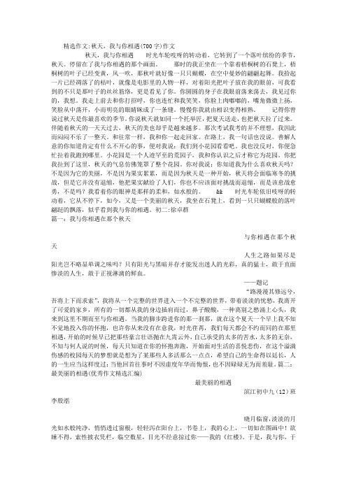 秋天,我与你相遇(700字)作文