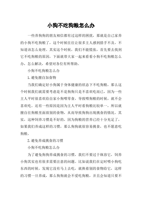 小狗不吃狗粮怎么办