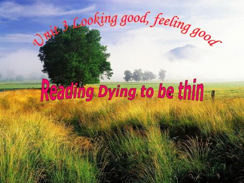 高一英语牛津译林版必修一同步课件：Unit 3 Looking good feeling good reading(共29张PPT)