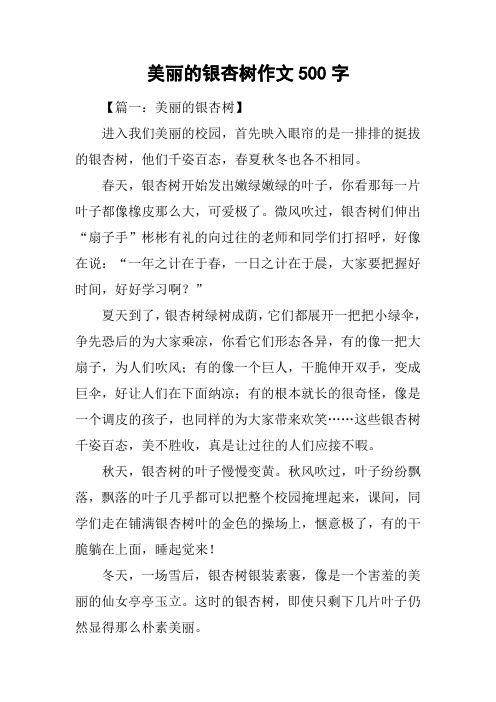 美丽的银杏树作文500字