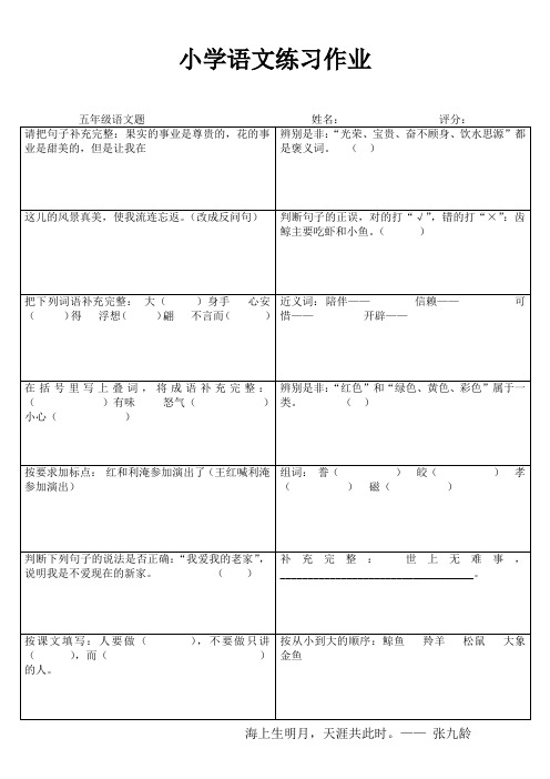 小学五年级语文自我提高IV (82)