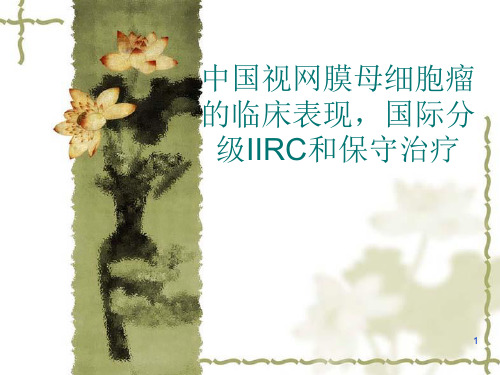 中国视网膜母细胞瘤的临床表现国际分级IIRC和保守治疗精品PPT课件