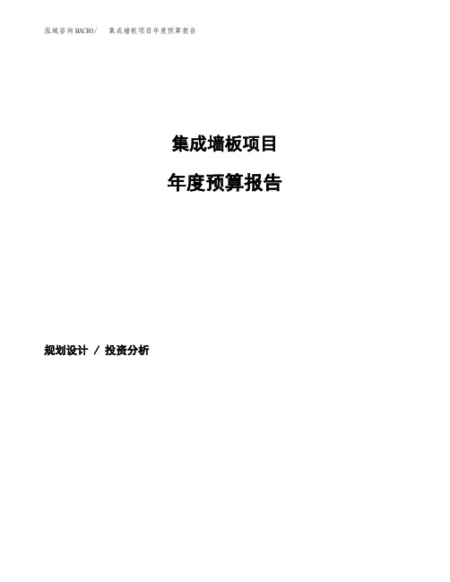 集成墙板项目年度预算报告