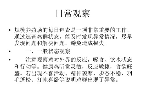 日常观察