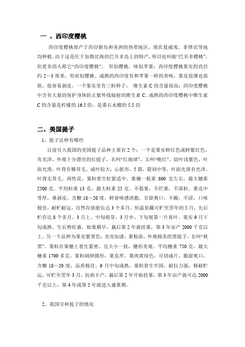 名贵水果品种