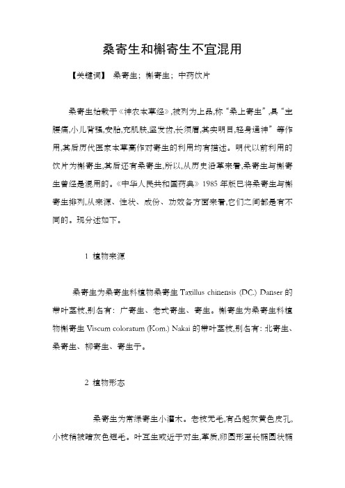 桑寄生和槲寄生不宜混用