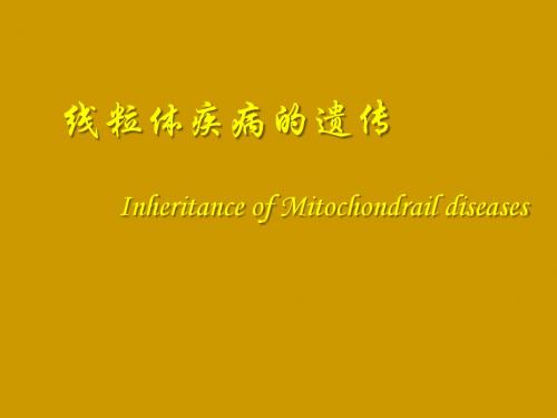 线粒体疾病的遗传课件