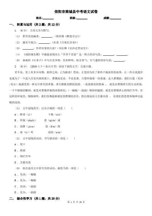 信阳市商城县中考语文试卷