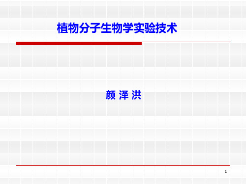 分子标记