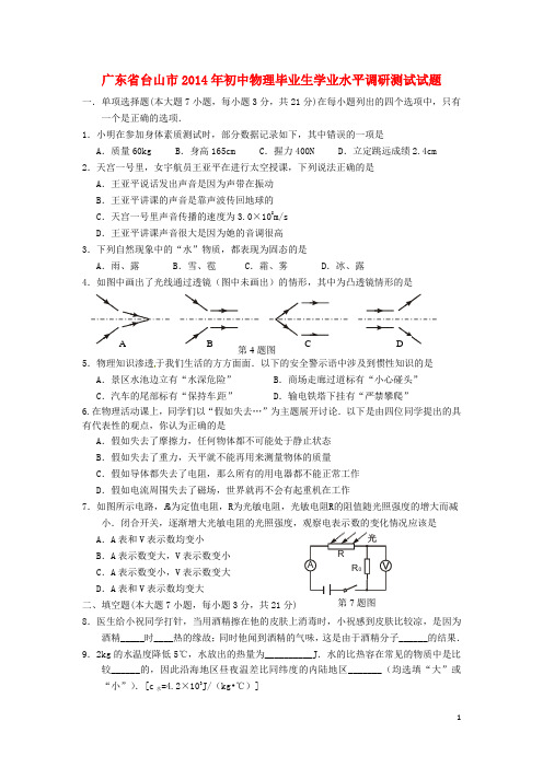 广东省台山市九年级物理学业水平调研测试试题(1)