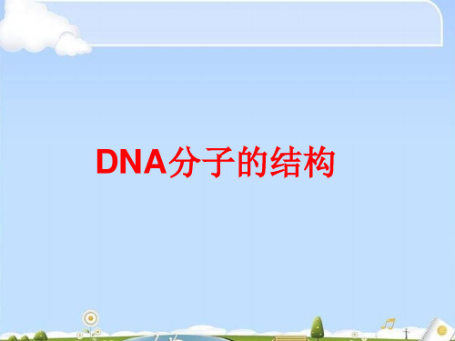 人教版高中生物必修二第3章第2节 《 DNA分子的结构》课件(共31张PPT)