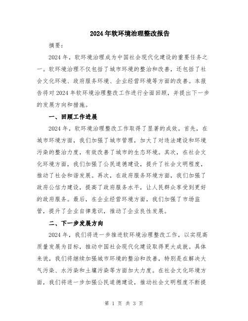 2024年软环境治理整改报告
