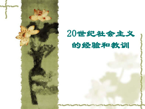 20世纪社会主义经验教训