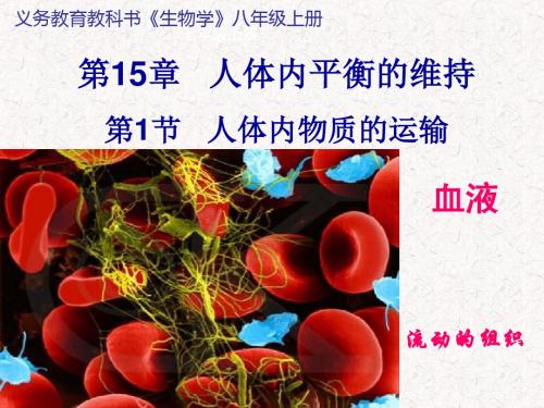 苏科版生物八年级第15章人体内平衡的维持第3课时 血液课件