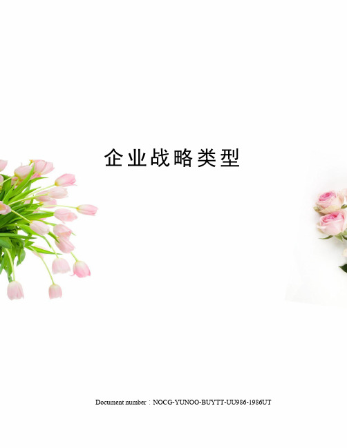 企业战略类型