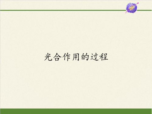高中生物必修一课件-4.2.2光合作用的过程3-苏教版