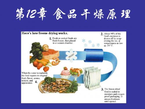 第12章 干燥