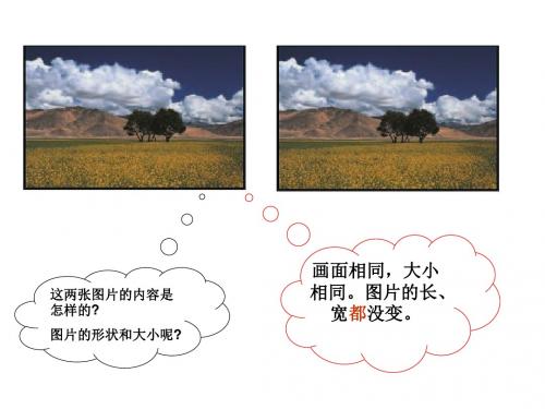 最新苏教版数学六年级下册《图形的放大与缩小》ppt课件2