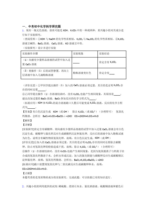 【化学】培优探究题辅导专题训练及详细答案