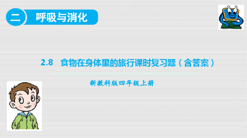 2020新教科版四年级科学上册2.8食物在身体里的旅行课时练习题(含答案)