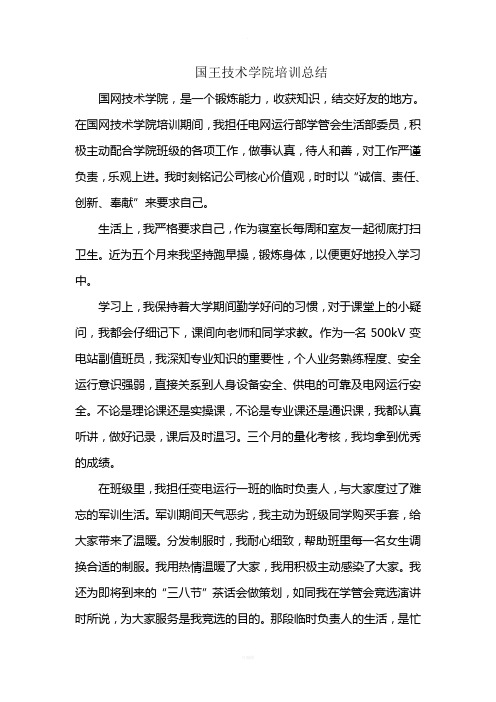 国网技术学院培训总结9