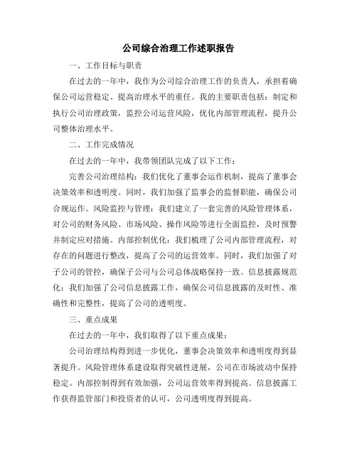 公司综合治理工作述职报告