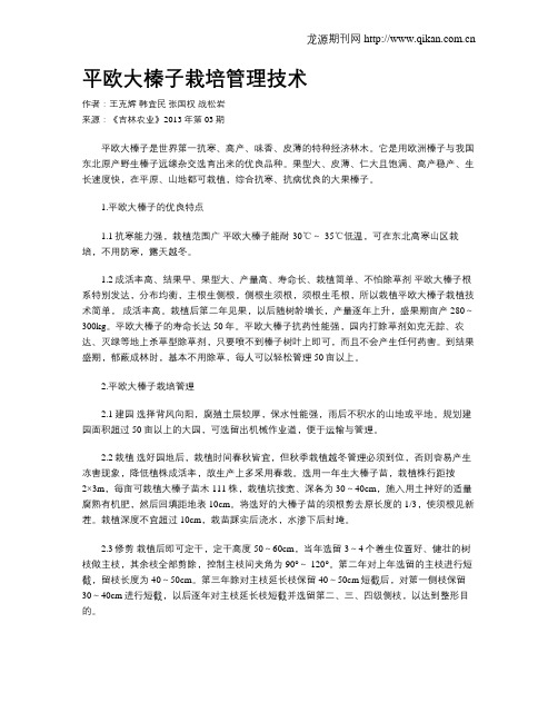 平欧大榛子栽培管理技术