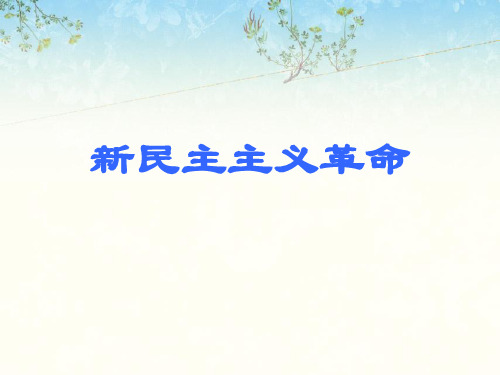 新民主主义革命ppt