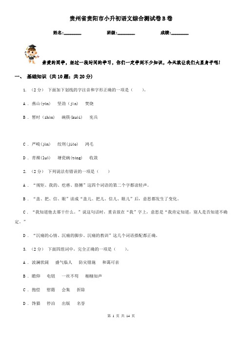 贵州省贵阳市小升初语文综合测试卷B卷