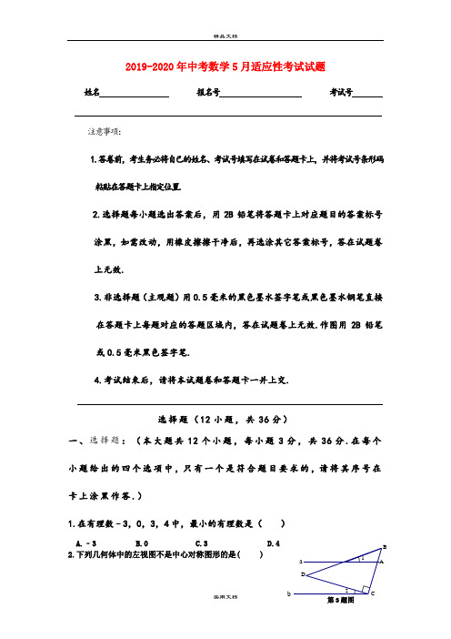 中考数学5月适应性考试试题